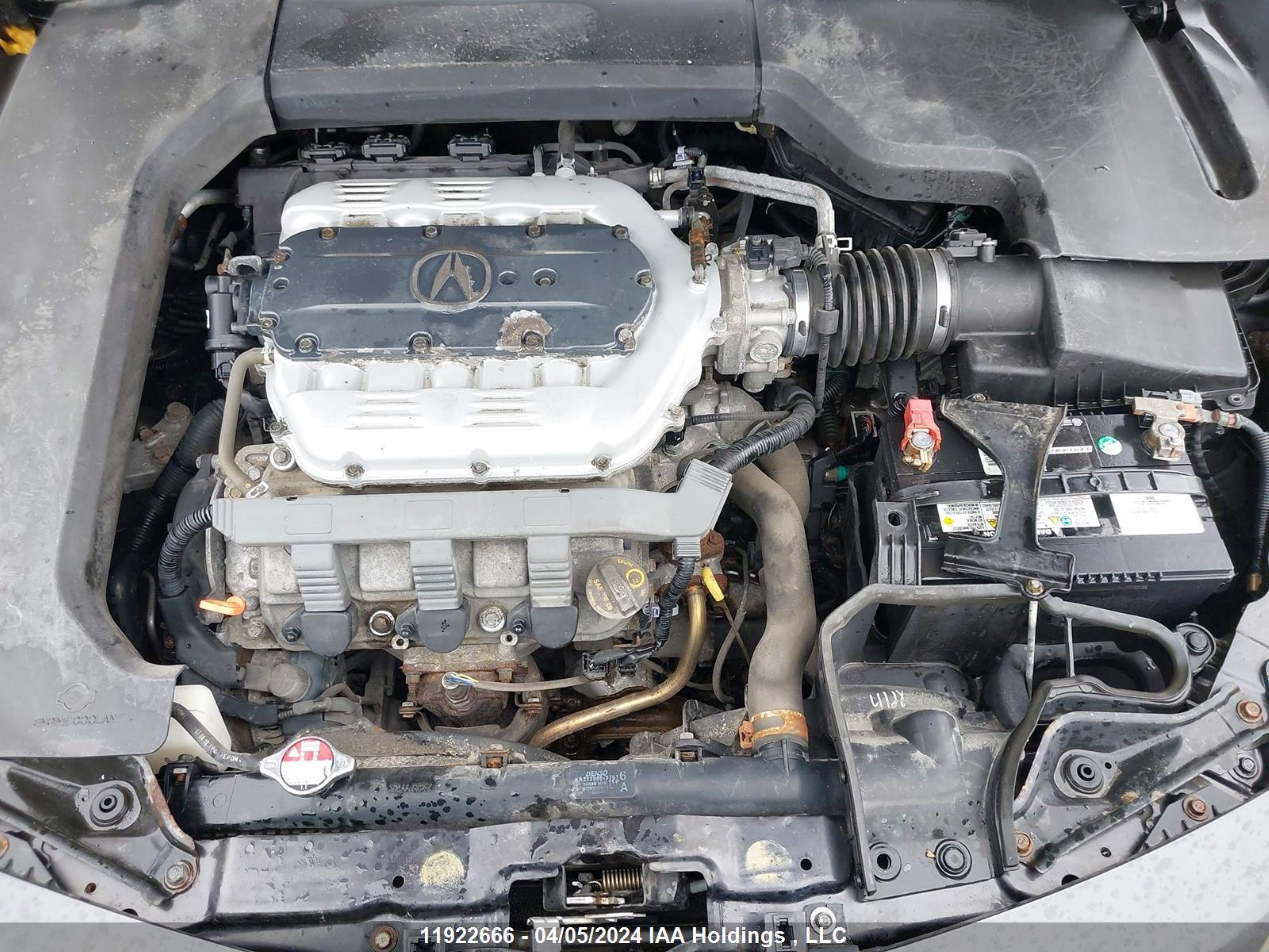 Photo 9 VIN: 19UUA8F53DA800650 - ACURA TL 