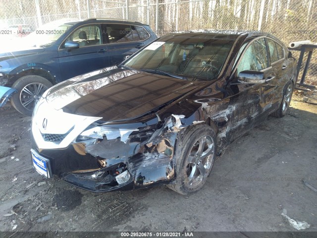 Photo 1 VIN: 19UUA8F54AA003982 - ACURA TL 