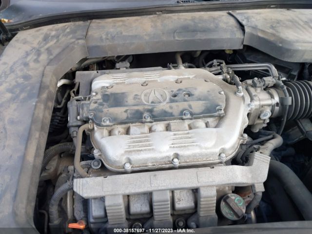 Photo 9 VIN: 19UUA8F54AA008003 - ACURA TL 