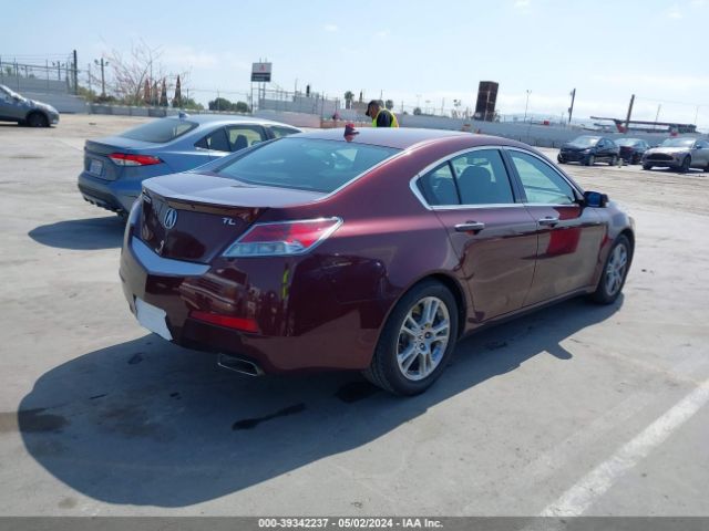 Photo 3 VIN: 19UUA8F54AA019423 - ACURA TL 