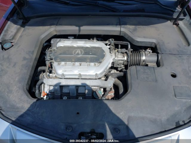 Photo 9 VIN: 19UUA8F54AA019423 - ACURA TL 