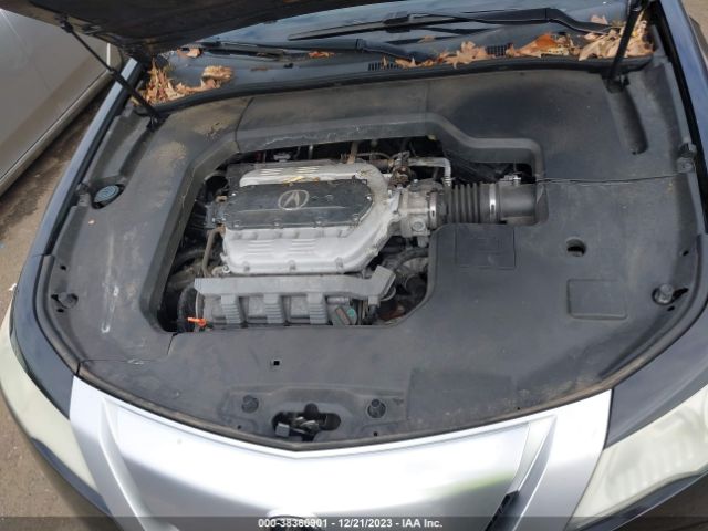 Photo 9 VIN: 19UUA8F54AA024895 - ACURA TL 