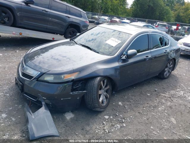 Photo 1 VIN: 19UUA8F54CA002950 - ACURA TL 