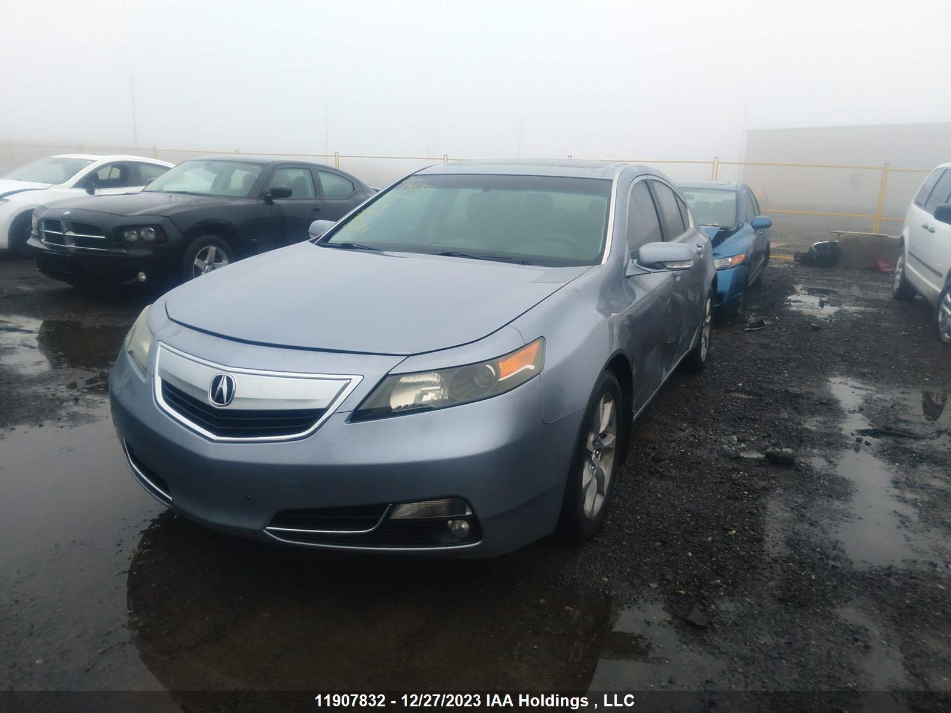 Photo 1 VIN: 19UUA8F54CA800316 - ACURA TL 