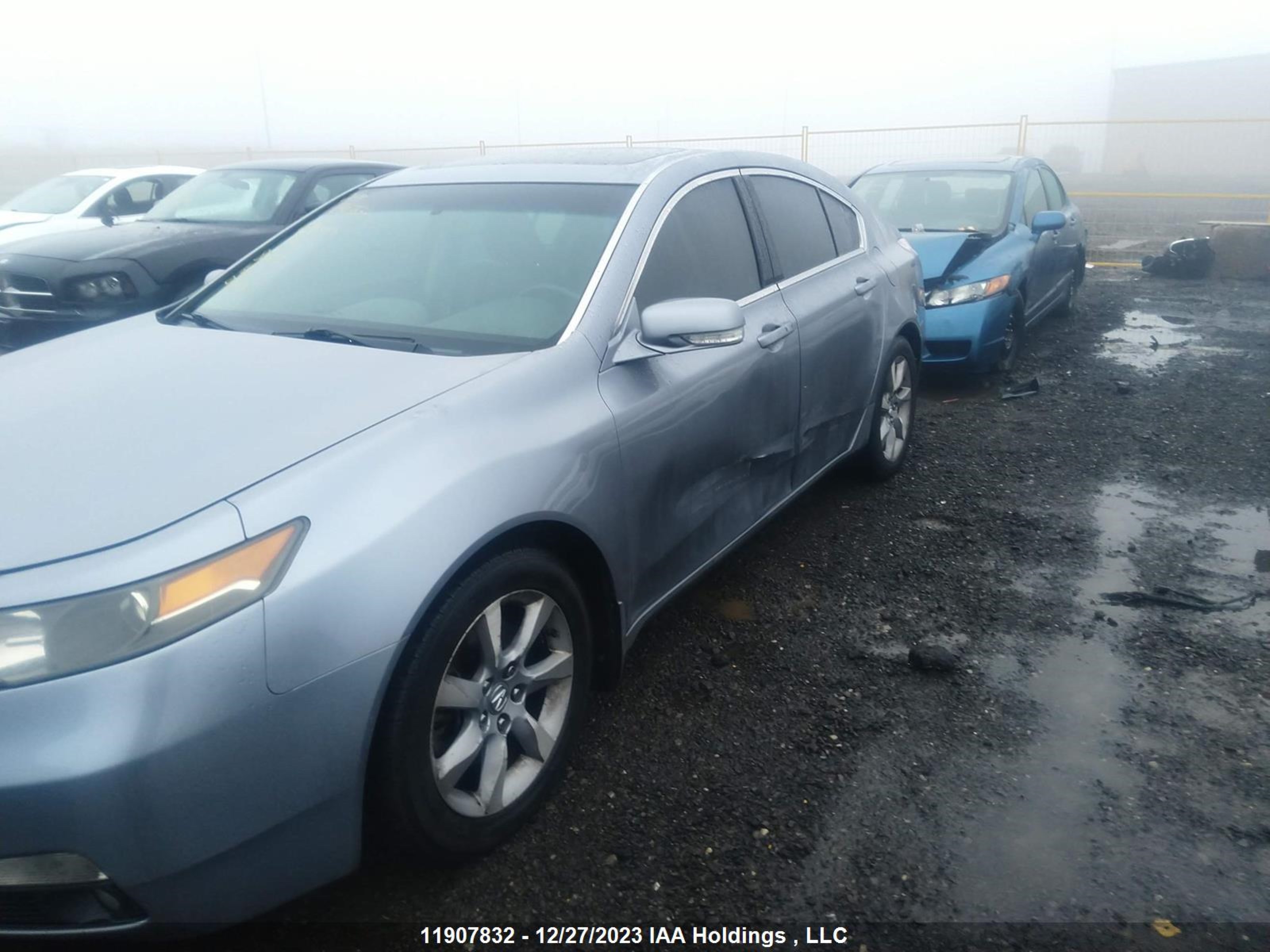 Photo 5 VIN: 19UUA8F54CA800316 - ACURA TL 