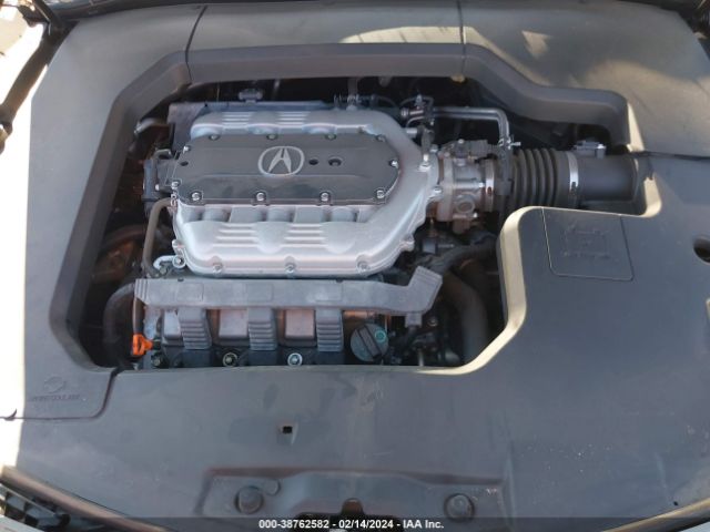 Photo 9 VIN: 19UUA8F55AA006101 - ACURA TL 