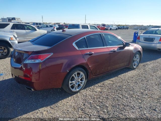 Photo 3 VIN: 19UUA8F55AA007507 - ACURA TL 