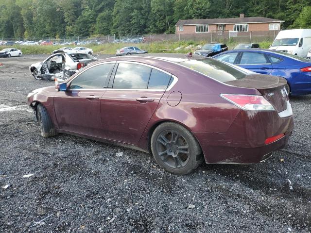 Photo 1 VIN: 19UUA8F55BA006410 - ACURA TL 