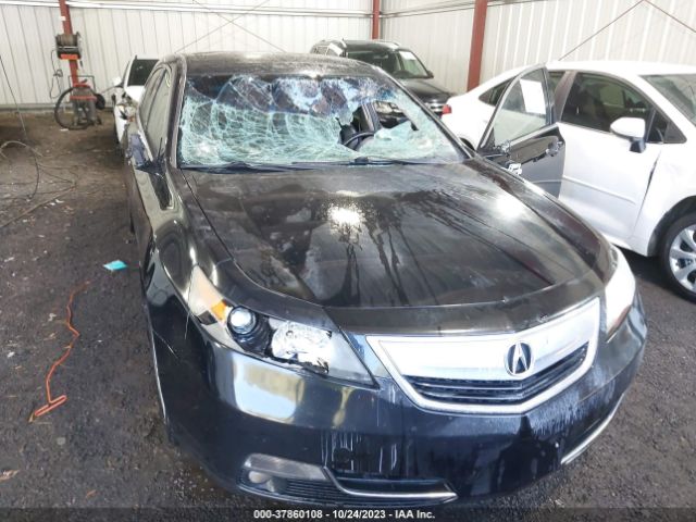 Photo 5 VIN: 19UUA8F55CA001242 - ACURA TL 