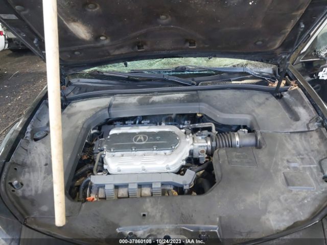 Photo 9 VIN: 19UUA8F55CA001242 - ACURA TL 