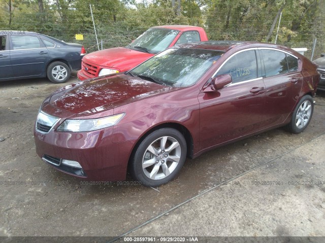 Photo 1 VIN: 19UUA8F55CA039540 - ACURA TL 