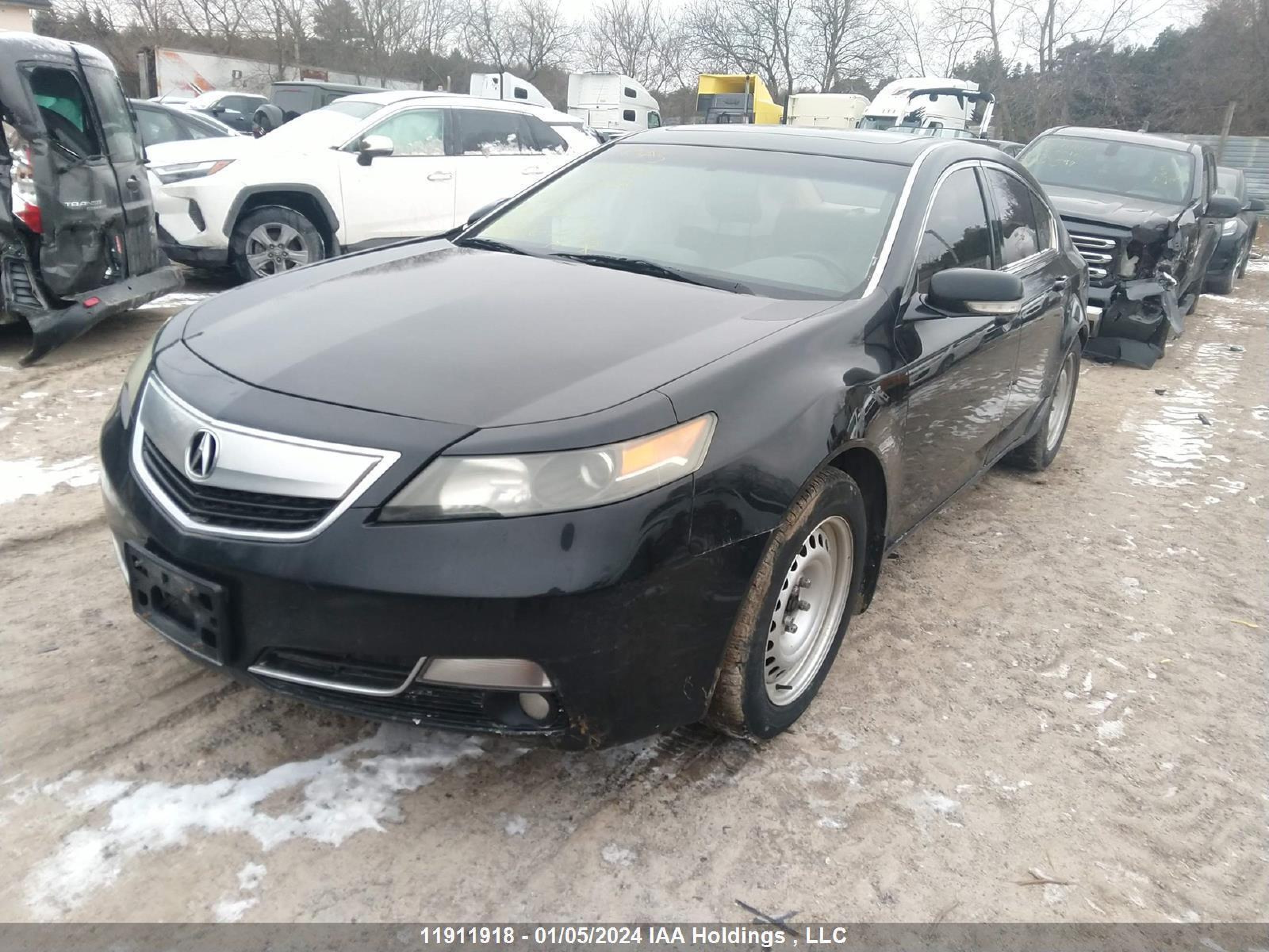 Photo 1 VIN: 19UUA8F55CA801104 - ACURA TL 