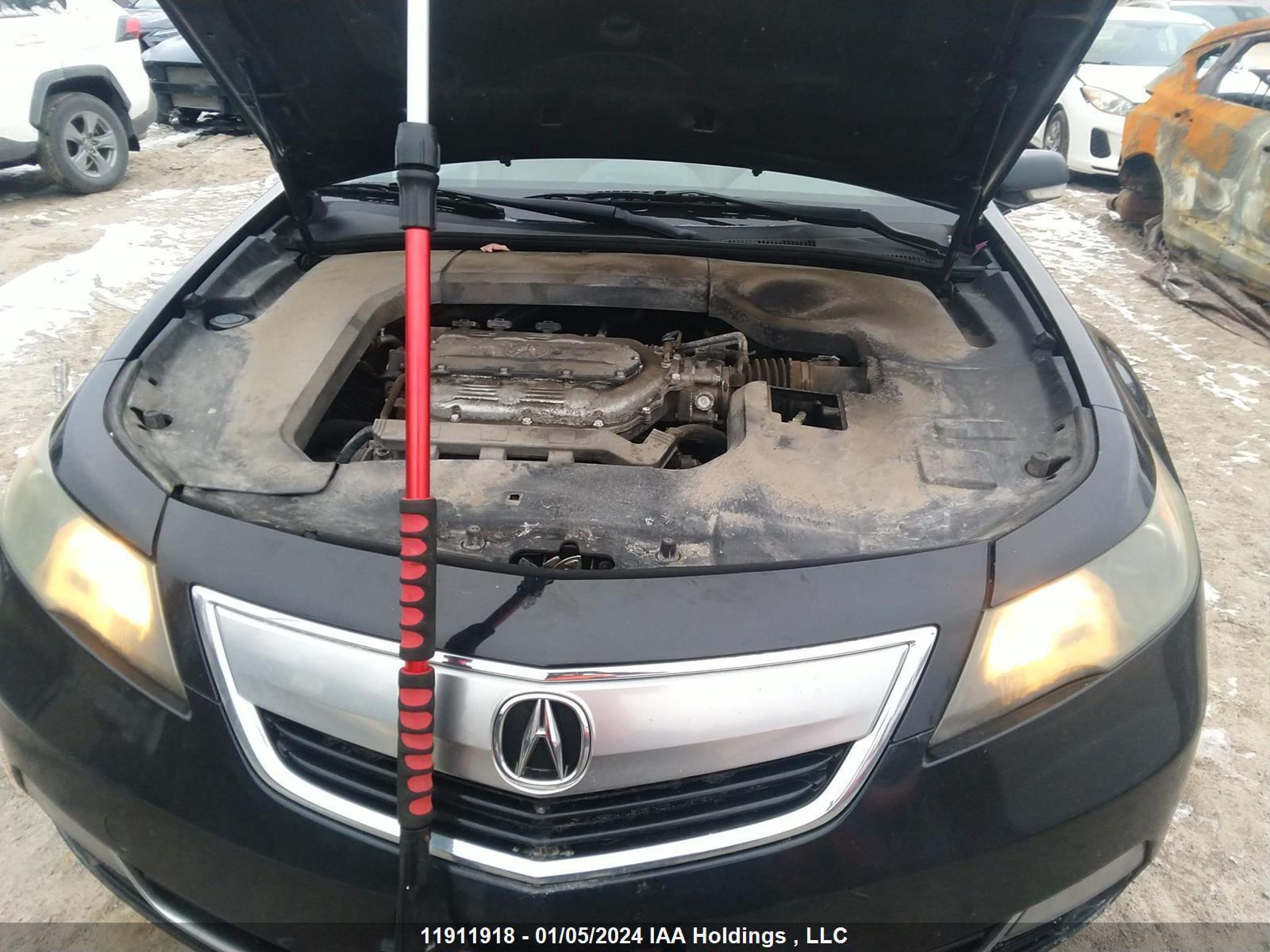 Photo 9 VIN: 19UUA8F55CA801104 - ACURA TL 