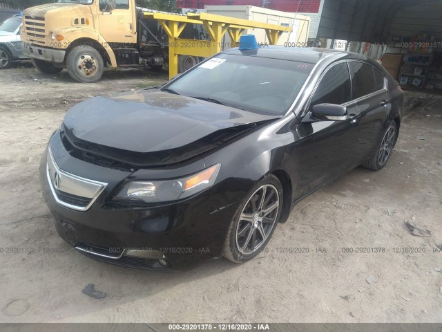 Photo 1 VIN: 19UUA8F55DA001453 - ACURA TL 