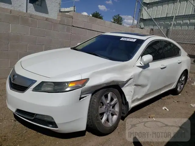 Photo 0 VIN: 19UUA8F55DA008192 - ACURA TL 