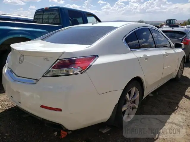 Photo 2 VIN: 19UUA8F55DA008192 - ACURA TL 