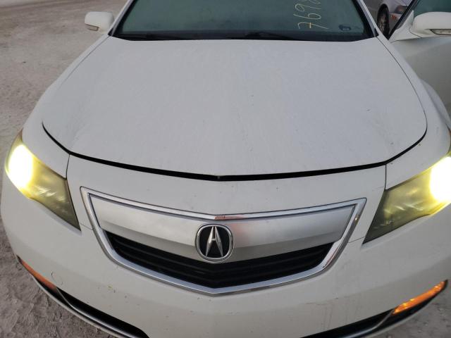 Photo 10 VIN: 19UUA8F55DA010900 - ACURA TL TECH 