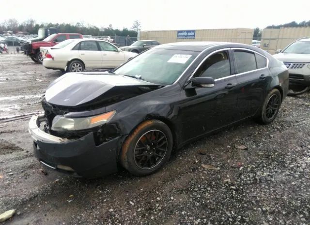 Photo 1 VIN: 19UUA8F55DA011769 - ACURA TL 