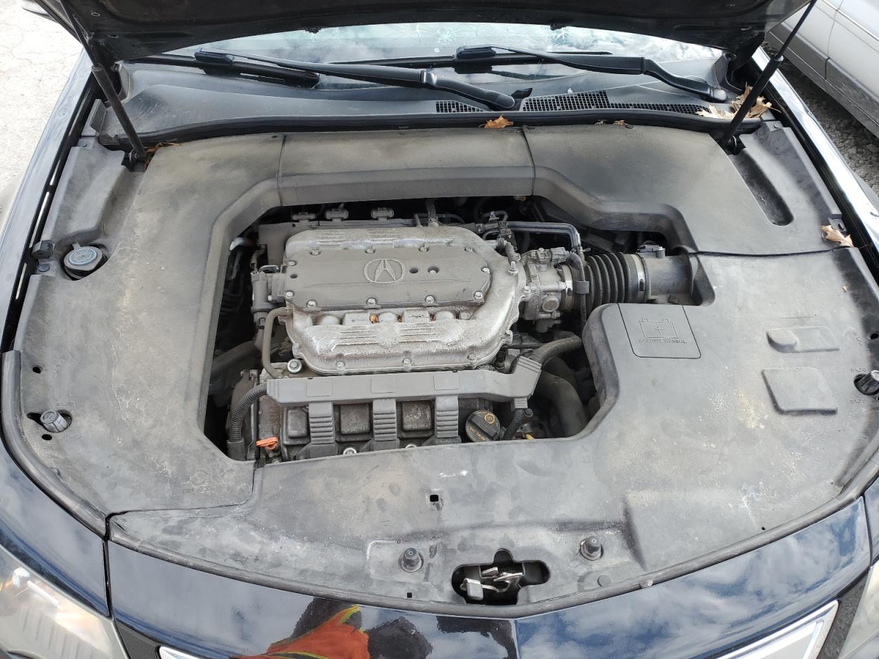 Photo 10 VIN: 19UUA8F55EA000854 - ACURA TL 