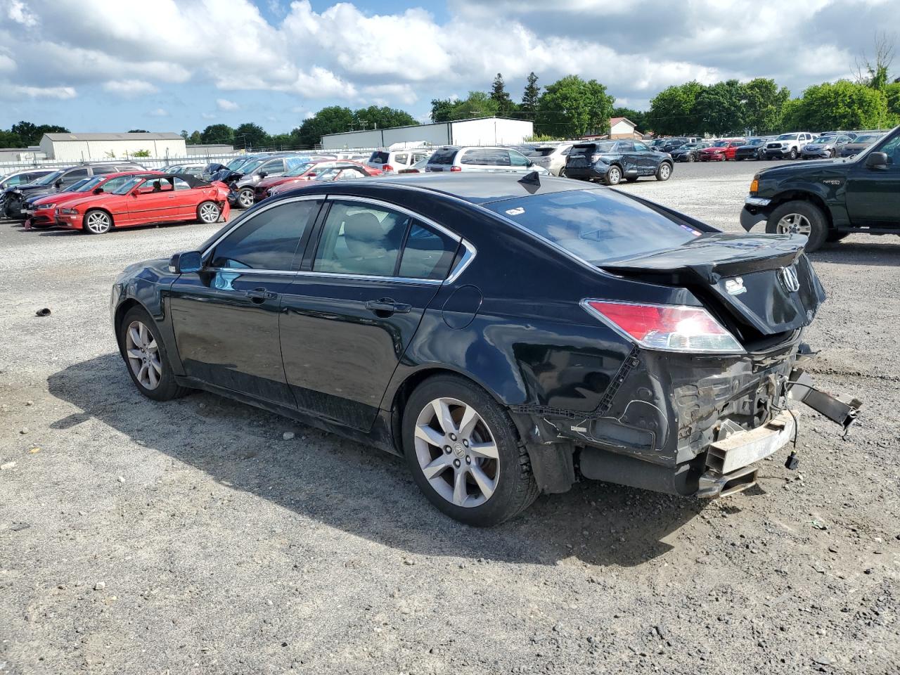 Photo 1 VIN: 19UUA8F55EA005715 - ACURA TL 