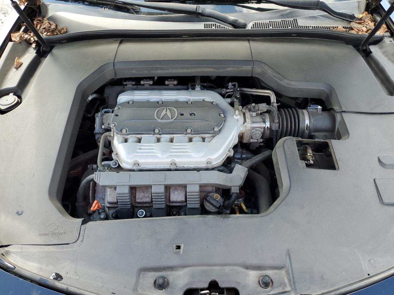 Photo 10 VIN: 19UUA8F55EA005715 - ACURA TL 