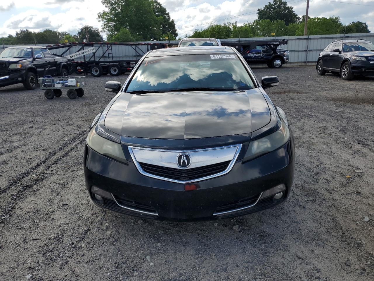 Photo 4 VIN: 19UUA8F55EA005715 - ACURA TL 