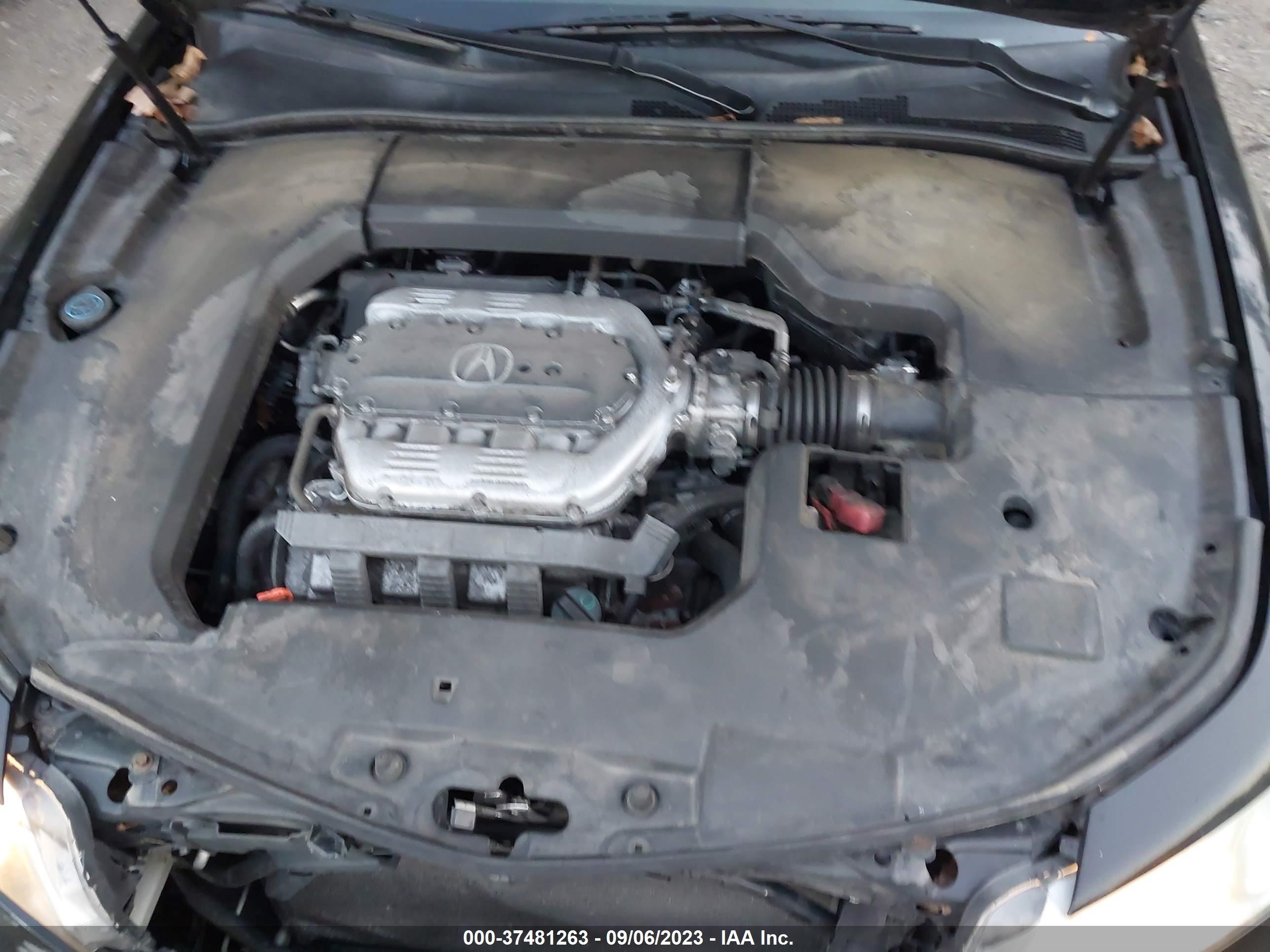 Photo 9 VIN: 19UUA8F56AA020783 - ACURA TL 