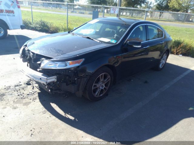 Photo 1 VIN: 19UUA8F56AA023571 - ACURA TL 