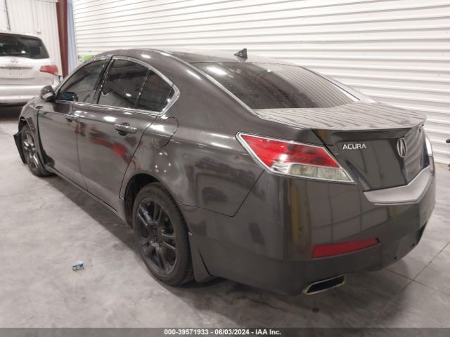 Photo 2 VIN: 19UUA8F56BA002382 - ACURA TL 