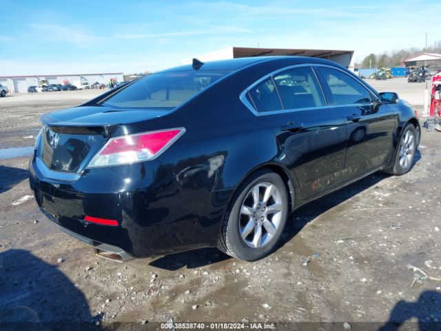 Photo 3 VIN: 19UUA8F56CA035612 - ACURA TL 