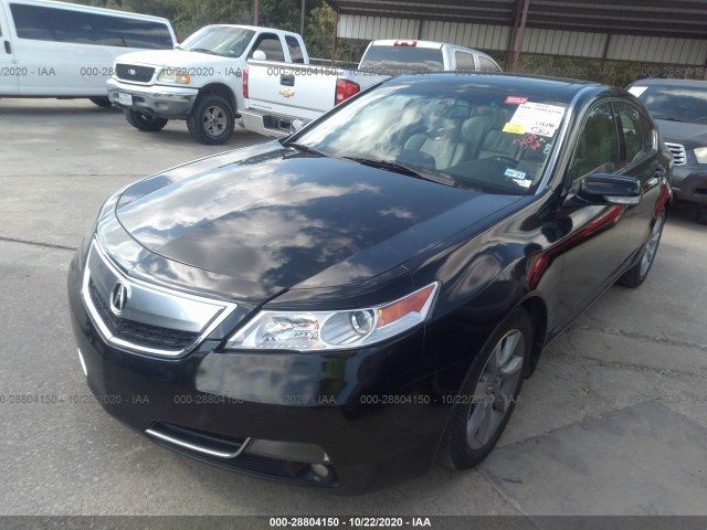 Photo 1 VIN: 19UUA8F56DA008444 - ACURA TL 