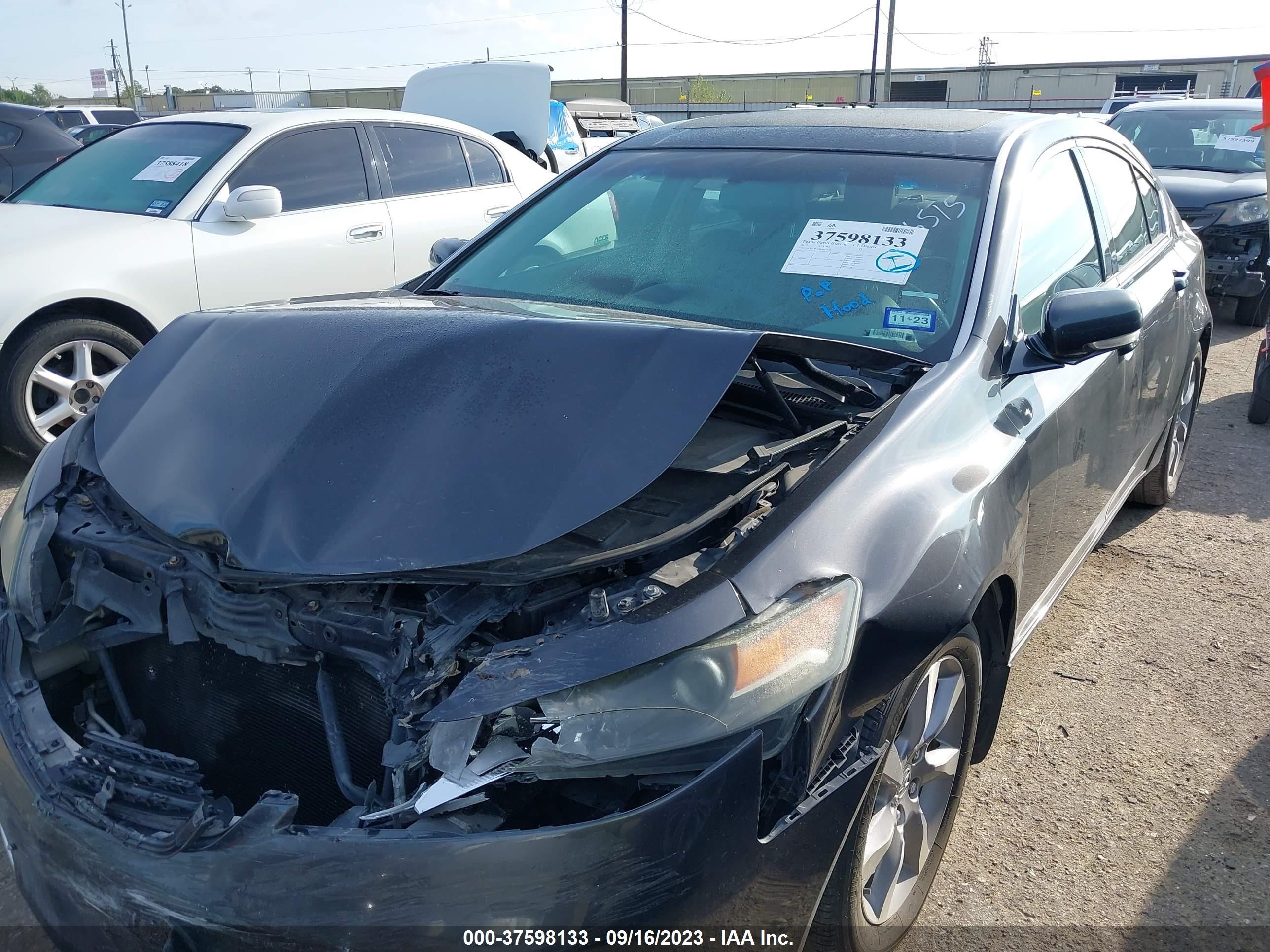 Photo 1 VIN: 19UUA8F56DA011828 - ACURA TL 