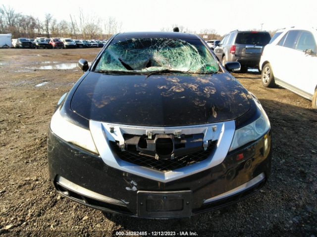 Photo 5 VIN: 19UUA8F57AA012465 - ACURA TL 