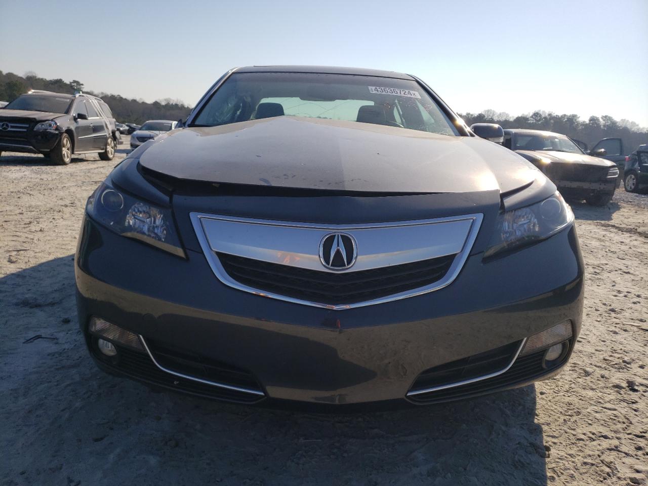 Photo 4 VIN: 19UUA8F57CA037207 - ACURA TL 