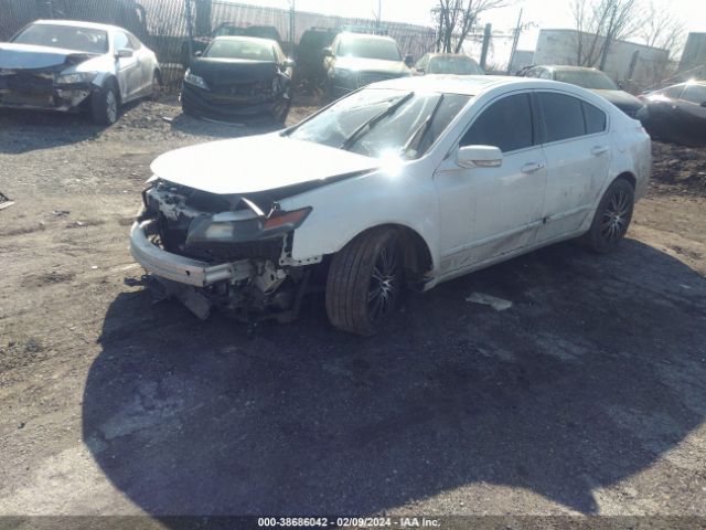 Photo 1 VIN: 19UUA8F57CA037367 - ACURA TL 