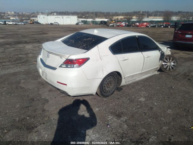 Photo 3 VIN: 19UUA8F57CA037367 - ACURA TL 