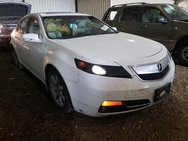 Photo 0 VIN: 19UUA8F57DA006976 - ACURA TL 