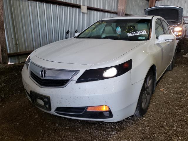 Photo 1 VIN: 19UUA8F57DA006976 - ACURA TL 