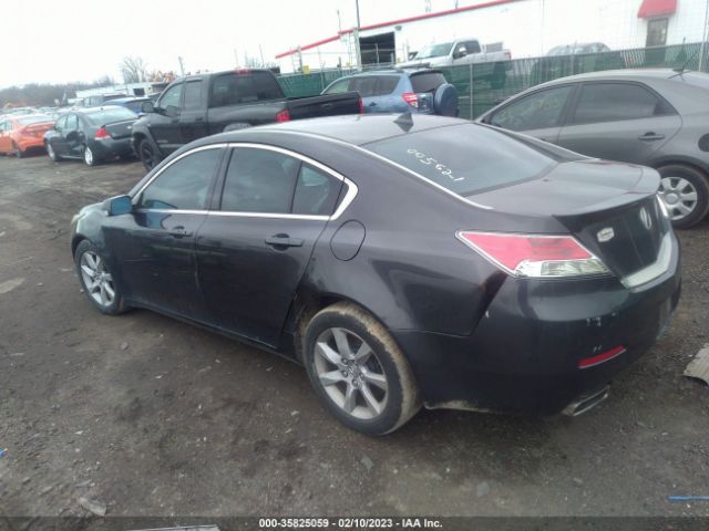 Photo 2 VIN: 19UUA8F57EA005621 - ACURA TL 