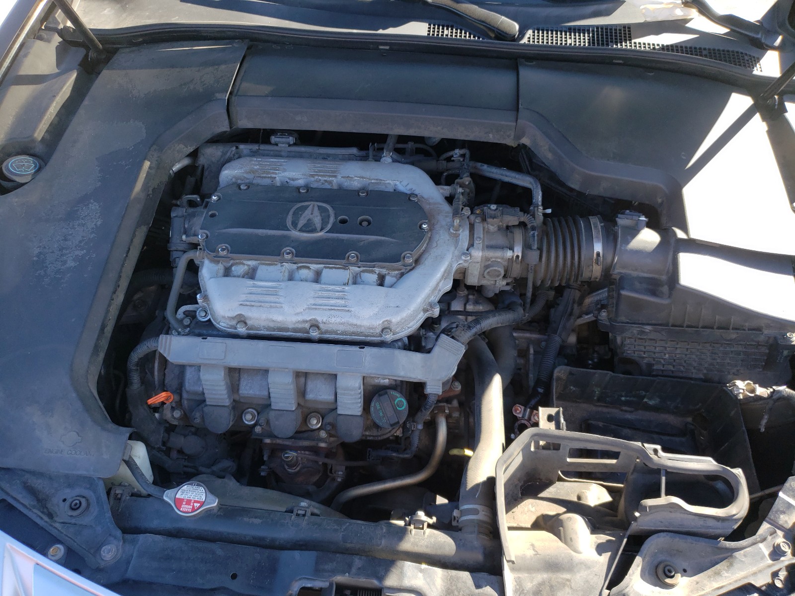 Photo 6 VIN: 19UUA8F58AA023832 - ACURA TL 