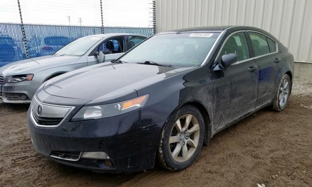 Photo 1 VIN: 19UUA8F58CA800335 - ACURA TL 