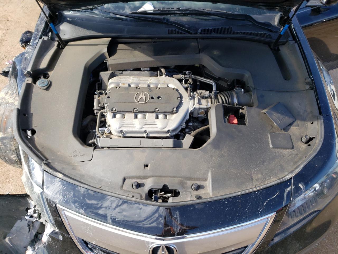 Photo 10 VIN: 19UUA8F58EA000010 - ACURA TL 