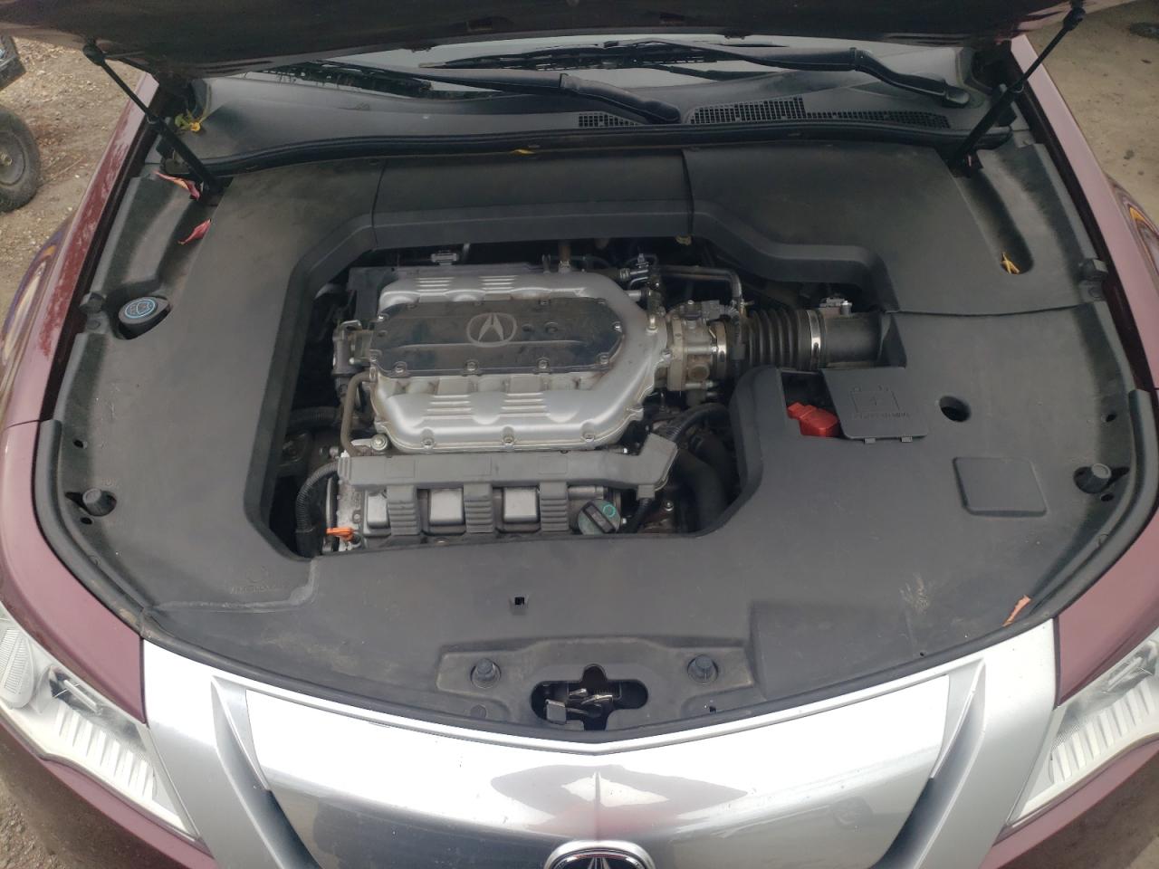 Photo 10 VIN: 19UUA8F59AA006781 - ACURA TL 