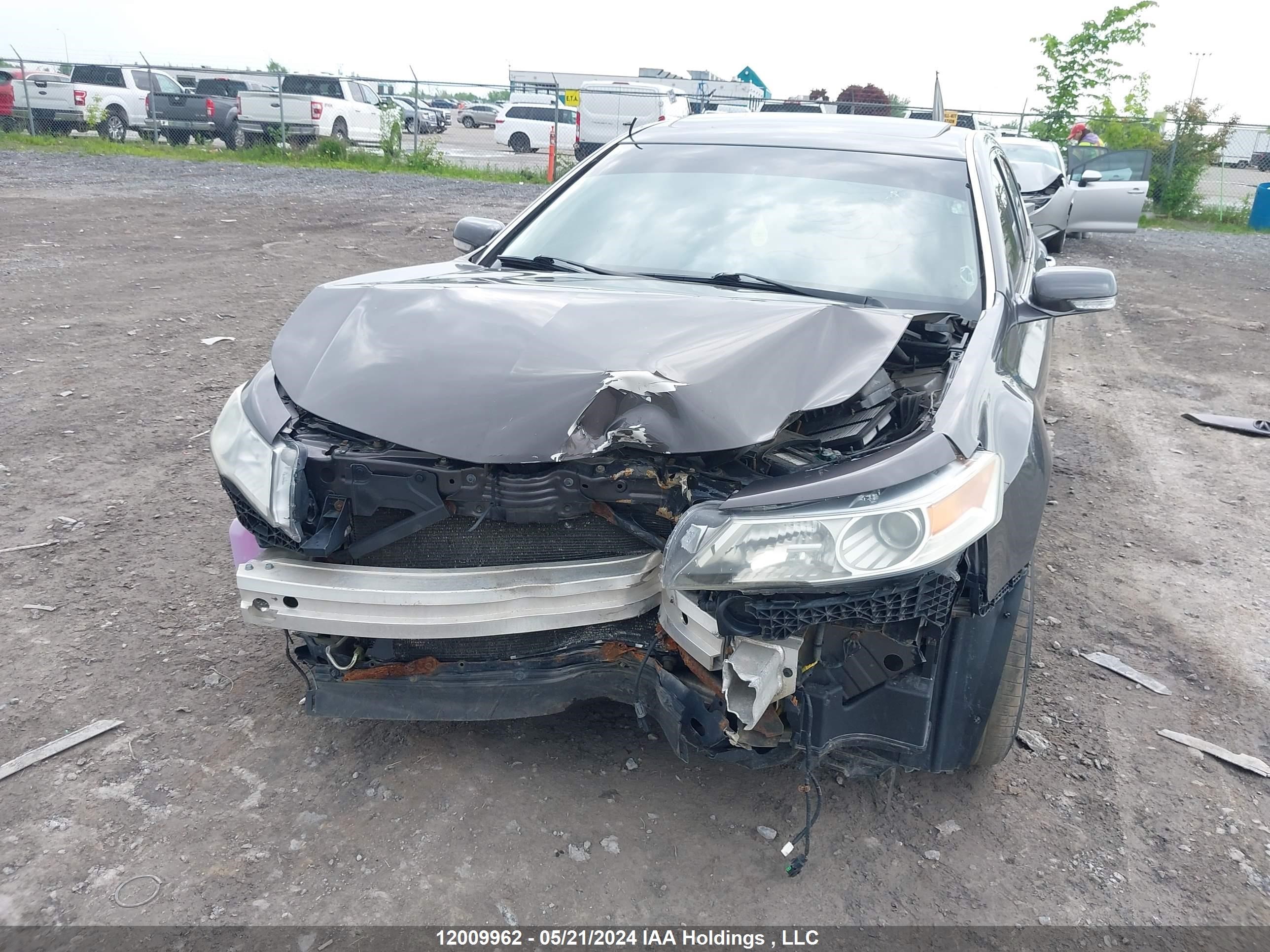 Photo 5 VIN: 19UUA8F59AA801040 - ACURA TL 