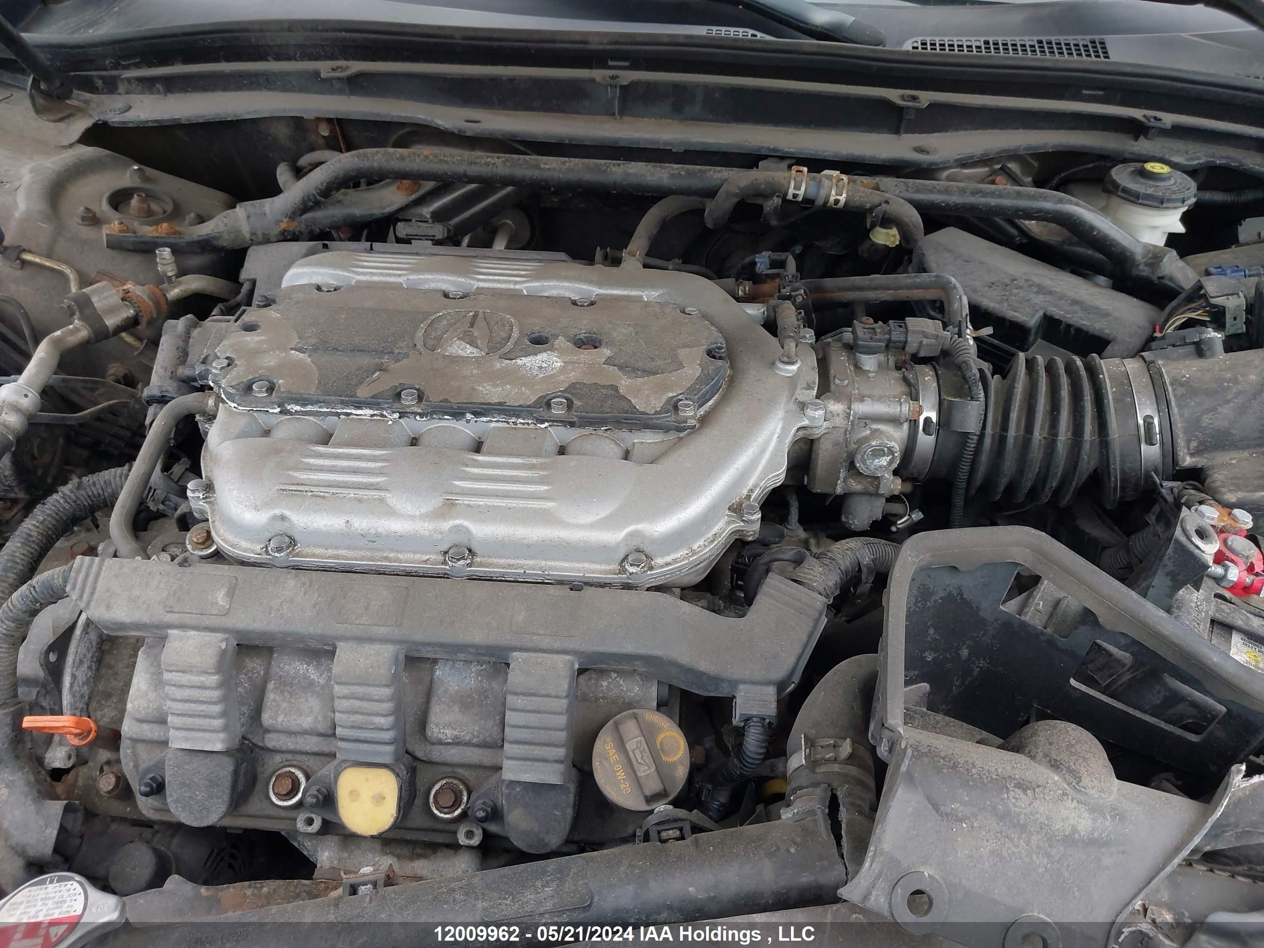 Photo 9 VIN: 19UUA8F59AA801040 - ACURA TL 