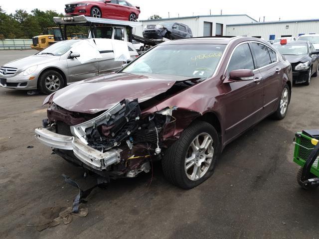 Photo 1 VIN: 19UUA8F59BA000495 - ACURA TL 