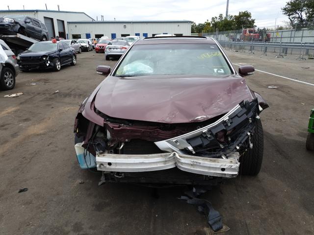 Photo 8 VIN: 19UUA8F59BA000495 - ACURA TL 