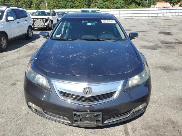 Photo 4 VIN: 19UUA8F59CA031876 - ACURA TL 