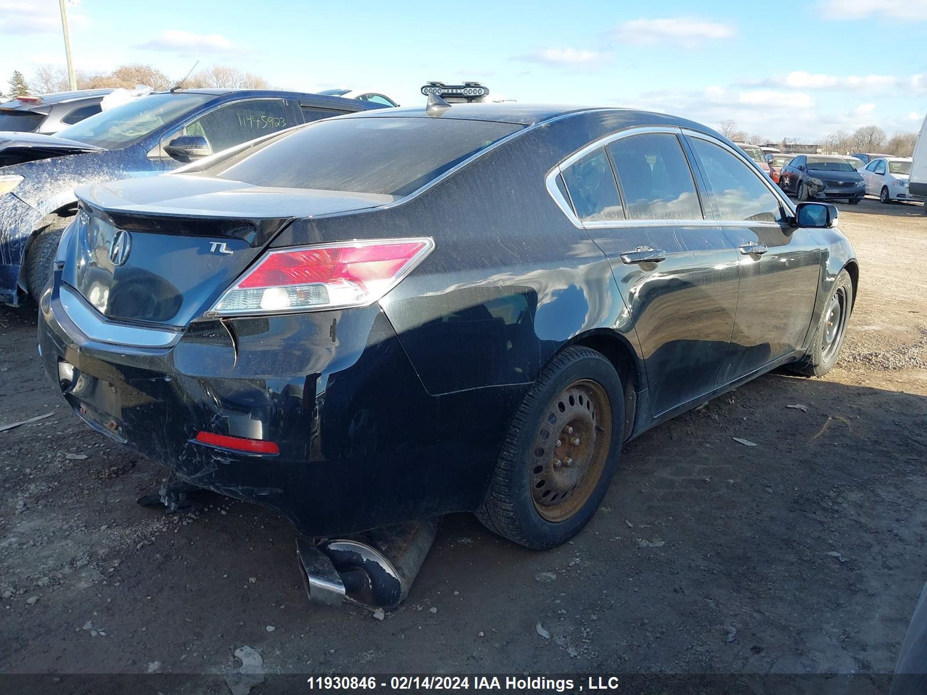 Photo 3 VIN: 19UUA8F59CA801199 - ACURA TL 