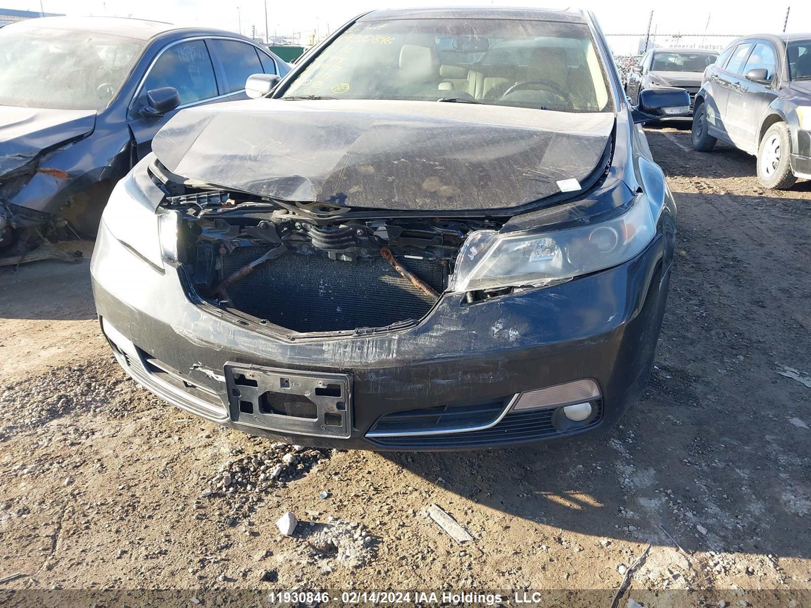 Photo 5 VIN: 19UUA8F59CA801199 - ACURA TL 